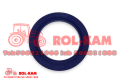 rolkam242_1_1000x700.png
