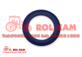 rolkam242_1000x700.png