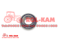 rolkam250_1000x700.png