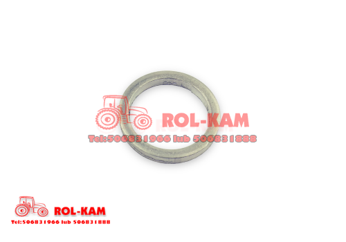 rolkam307_1000x700.png