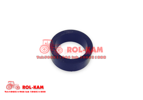 rolkam309_1000x700.png