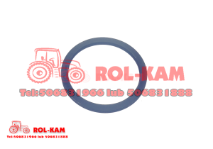 PIERŚCIEŃ ZWOLNICY CARRARO RENAULT