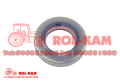 rolkam454_1_1000x700.png