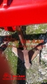 mms_img586154668.jpg