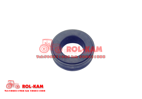 rolkam172_1000x700.png