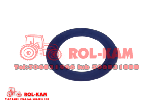 PODKŁADA TALERZOWA PRZEDNIEJ OŚI RENAULT MASSEY FERGUSON CASE IH