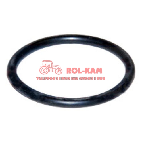 ORING0446.jpg