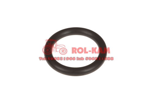 ORING0500.jpg