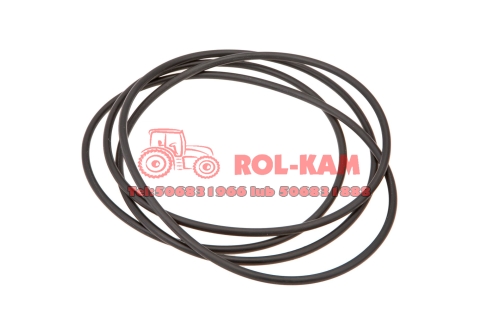 ORING0507.jpg