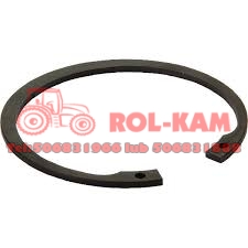 PIERŚCIEŃ ZABEZBIECZAJĄCY RENAULT CLAAS 6005019179