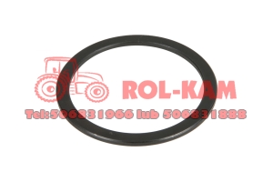 PODKŁADKA SATELITY PRZEDNIEGO NAPĘDU RENAULT CLAAS ORYGINAŁ