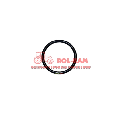 ORING0496.jpg