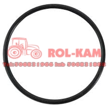 ORING0528.jpg
