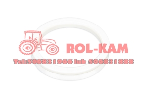 PIERŚCIEŃ USZCZELNIAJĄCY PRZEDNIEGO MOSTU RENAULT CLAAS MASSEY FERGUSON 7300104701 0011338220
