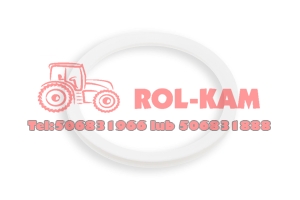 PIERŚCIEŃ USZCZELNIAJĄCY PRZEDNIEJ OSI MASSEY FERGUSON 3712074M1