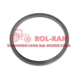 USZCZELNIACZ PIASTY KOŁA MASSEY FERGUSON 3429889M2