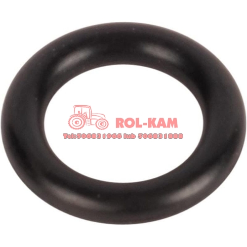 ORING0533.jpg