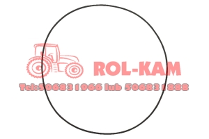 ORING PRZEDNIEJ OSI DANA SPICER JOHN DEERE RENAULT MASSEY FERGUSON DEUTZ FENDT