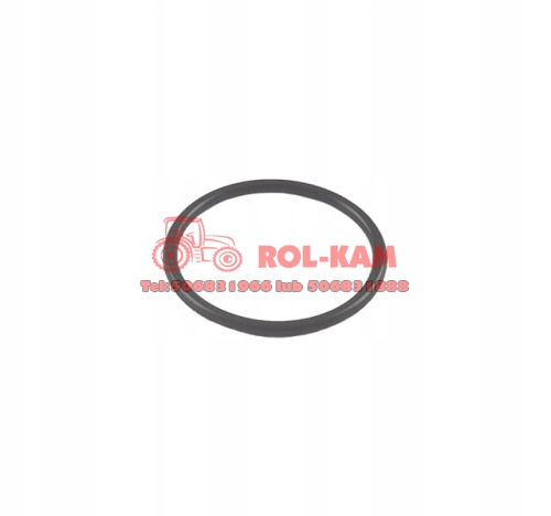 ORING0454.jpg