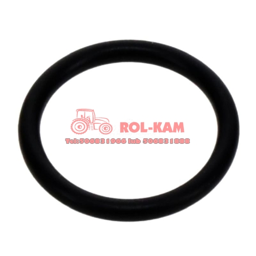 ORING0291.jpg