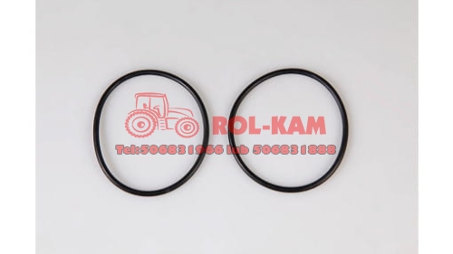 ORING0541.jpg