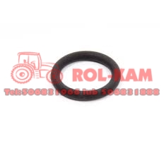 ORING0544.jpg