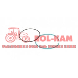 ORING TŁOKA CASE NEW HOLLAND 5162398