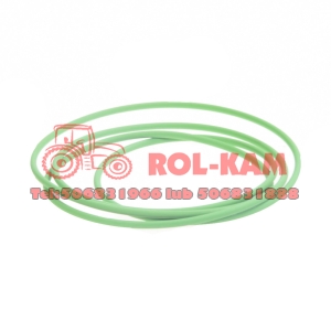 ORING FENDT X549045701000