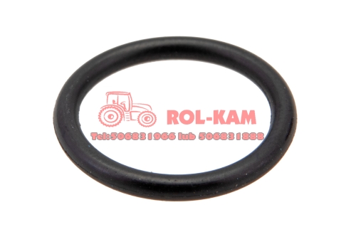ORING0563.jpg