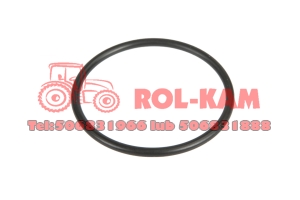 ORING SKRZYNI BIEGÓW 46,2X3 FENDT X548922366000