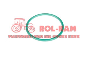 ORING SKRZYNI BIEGÓW FENDT X548917202000