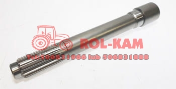 WAŁEK0022.jpg