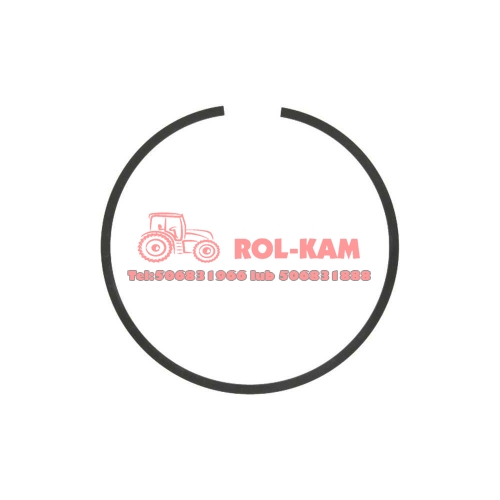 PIERŚĆ0337.jpg
