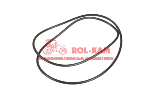 ORING0492.jpg