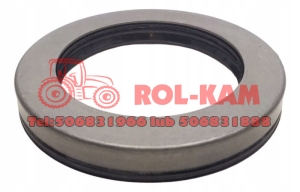 USZCZELNIACZ 69,8x100x13 JOHN DEERE AL150750