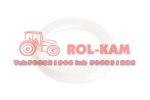 USZCZELNIACZ SWORZNIA ZWROTNICY MASSEY FERGUSON 3429317M1