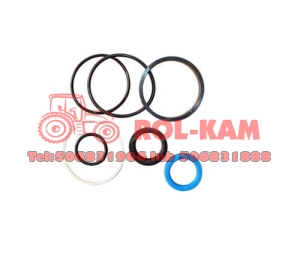 ZESTAW NAPRAWCZY SIŁOWNIKA SKRĘTU MASSEY FERGUSON LANDINI