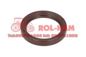 USZCZELNIACZ PIASTY FENDT MF X550109003000