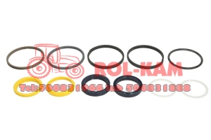 ZESTAW NAPRAWCZY SIŁOWNIKA KIEROWNICZEGO RENO MF 3903694M91