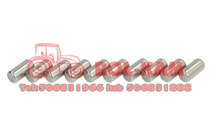 IGŁA ŁOŻYSKA PIASTY CARRARO 028370