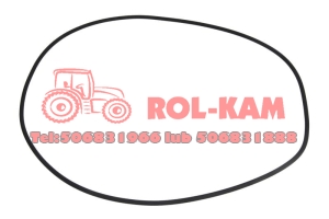 ORING PIASTY KOŁA CARRARO RENAULT