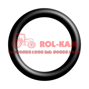 ORING OBUDOWY SKRZYNI BIEGÓW SAME DEUTZ FAHR 01166001