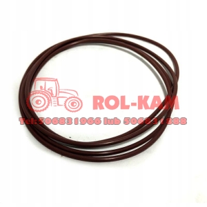 ORING FENDT X549047900000