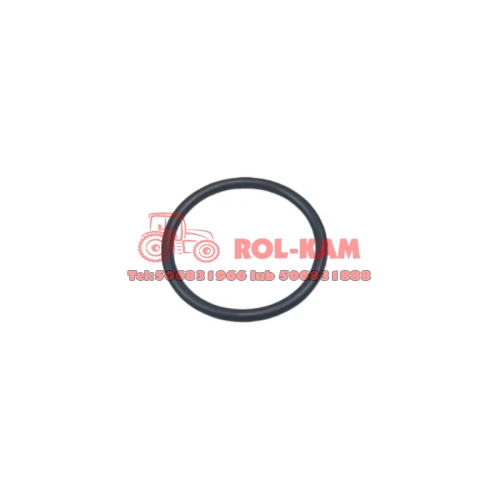 R104728ORING.JPG