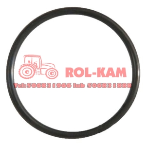 ORING WAŁKA SKRZYNI BIEGÓW JOHN DEERE P50631 ORYGINAŁ