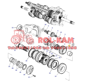 KOŁO ZĘBATE REWERSU Z=30 MASSEY FERGUSON