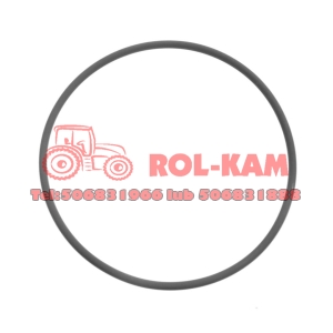ORING PÓŁBIEGU MASSEY FERGUSON 3382253M1