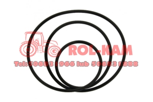 ORING SPEEDSHIFT MASSEY FERGUSON 3382251M1