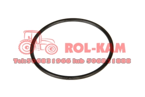 ORING SKRZYNI BIEGÓW MASSEY FERGUSON 3697842M1