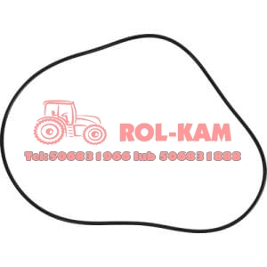 ORING SKRZYNI BIEGÓW MASSEY FERGUSON 3790323M1